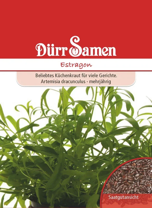 Estragon [MHD 12/2024]