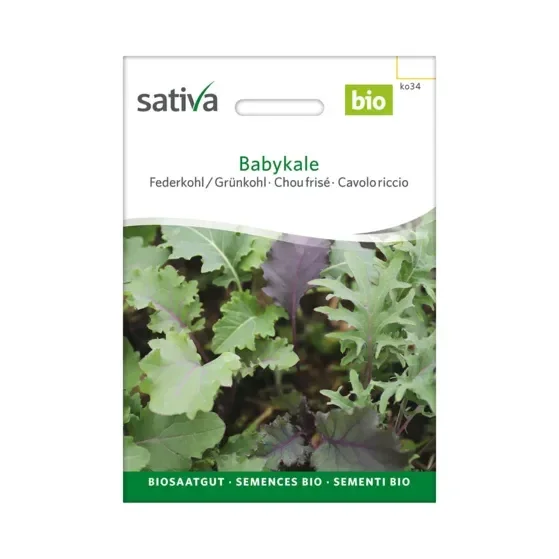 Federkohl Babykale Biosamen ko34