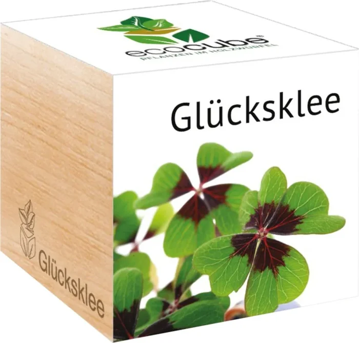 Feel Green ecocube „Glücksklee“, Glücksklee