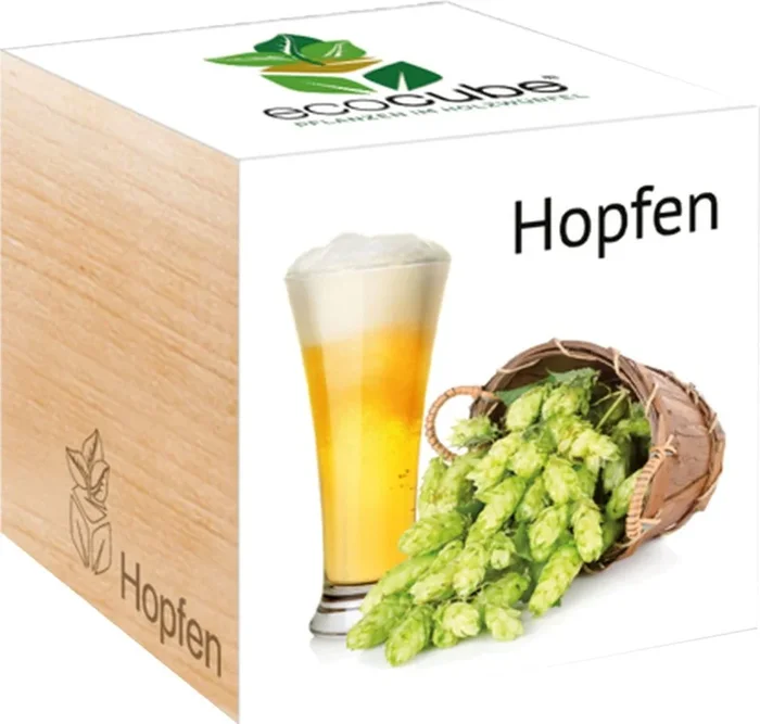 Feel Green ecocube „Hopfen“