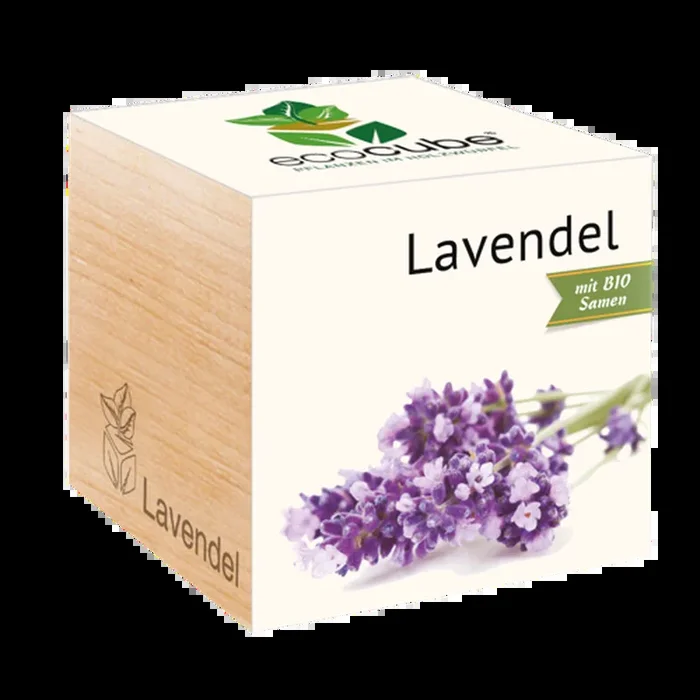 Feel Green ecocube „Lavendel“