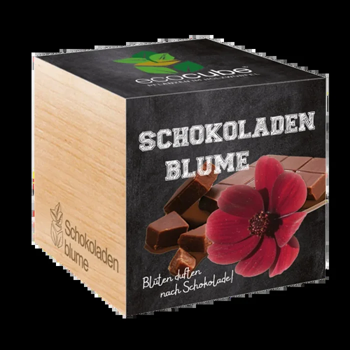 Feel Green ecocube „Schokoladenblume“