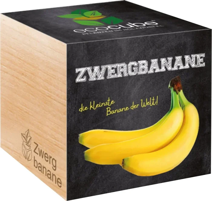 Feel Green ecocube „Zwergbanane“