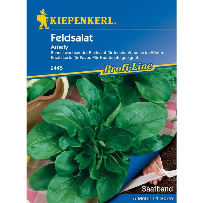 Feldsalat Amely – Saatband 5 m Valerianella locusta – Bestellnummer 9944199