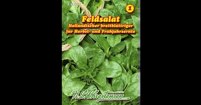 Feldsalat Holländ. breitblättr.