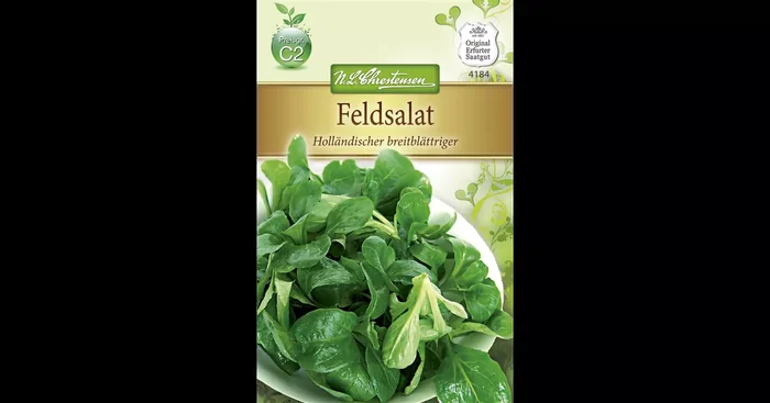 Feldsalatsamen ‚Holländischer Breitblättriger‘