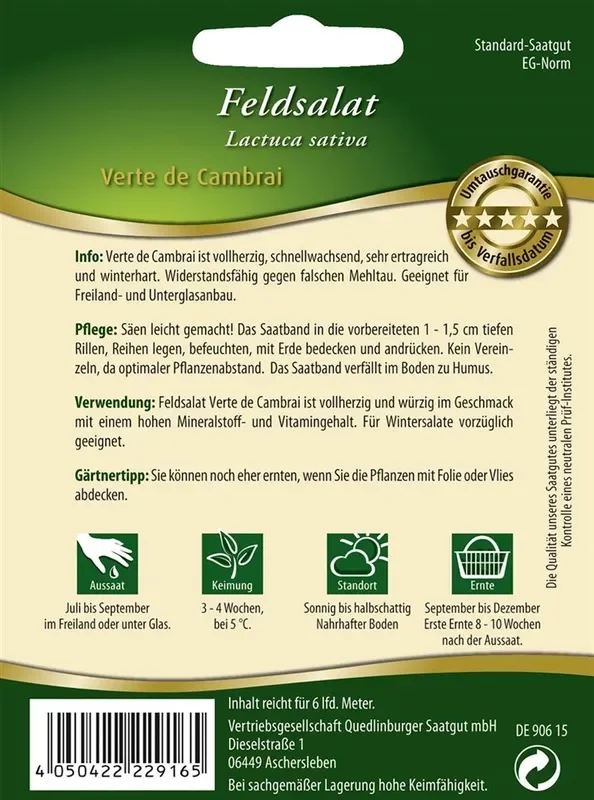 Feldsalatsamen ‚Verte de Cambrai‘