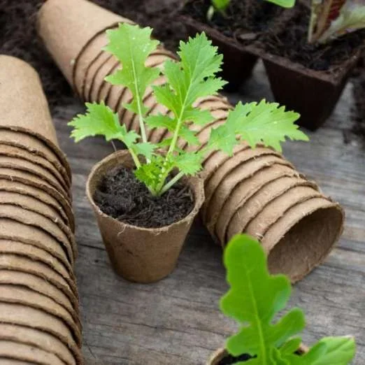 Fertilpot-Anzuchttopf rund6 cm, 24 Stück