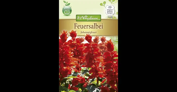 Feuersalbeisamen ‚Johannisfeuer‘