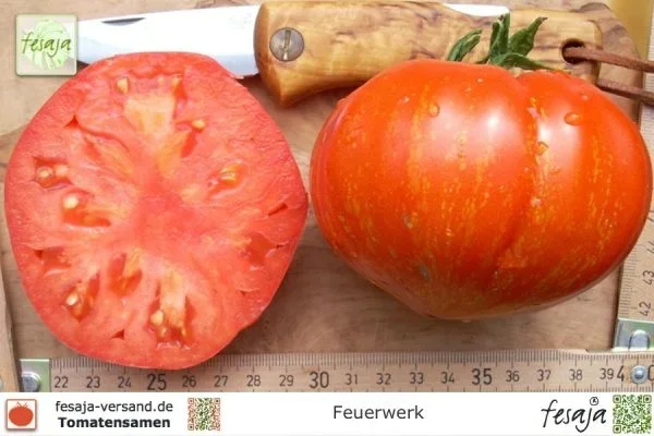 Feuerwerk · Tomaten · Samen