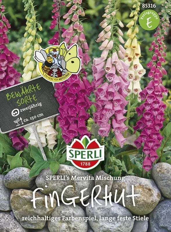 Fingerhut SPERLING´s Mervita Mischung, ideal für den Wild- oder Staudengarten, Schnittblume