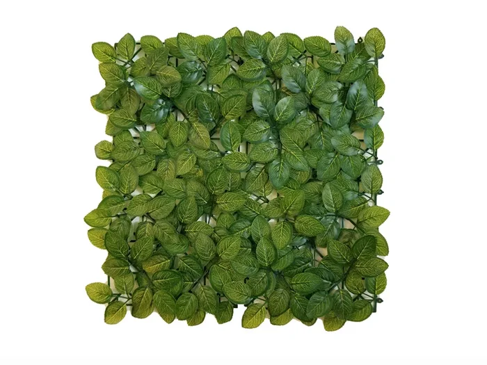 Fittonia Budget Kunsthecke – 50x50cm