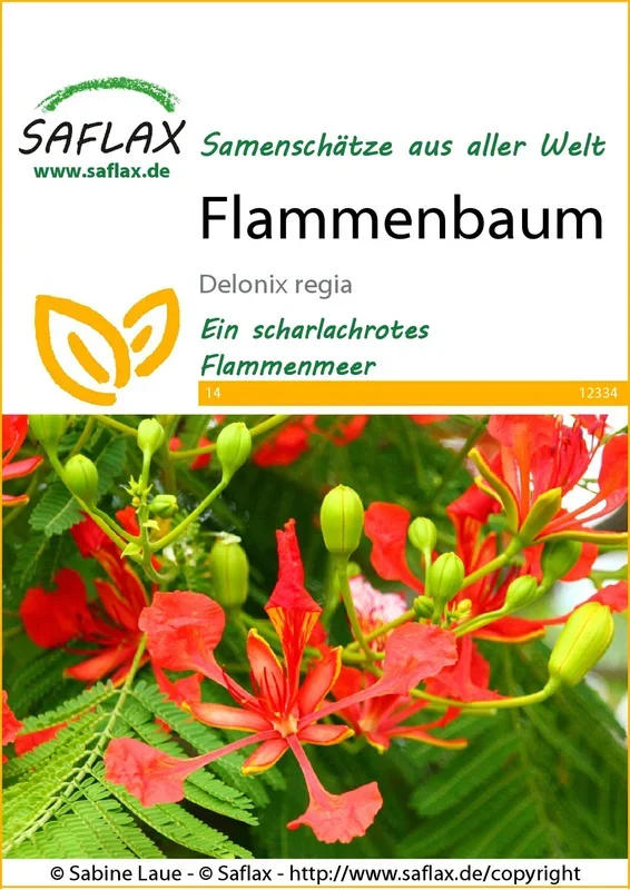 Flammenbaum
