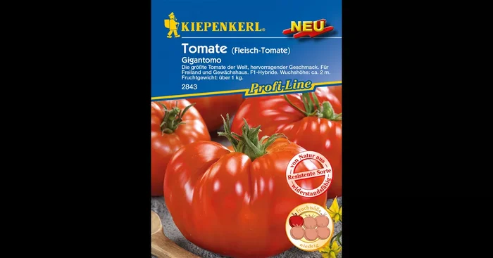 Fleischtomate ‚Gigantomo F1‘