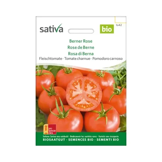 Fleischtomate Berner Rose Biosamen to42