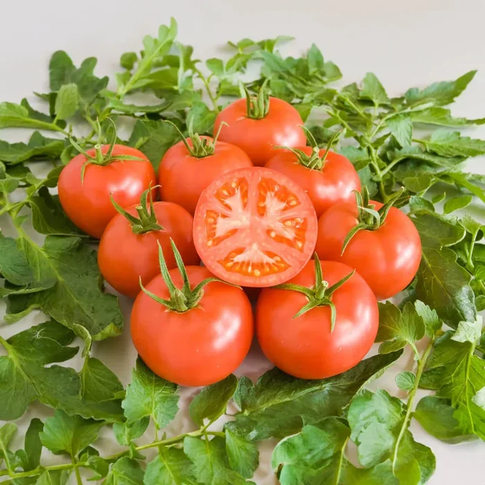 Fleischtomate rot Bio-Gemüse-Samen