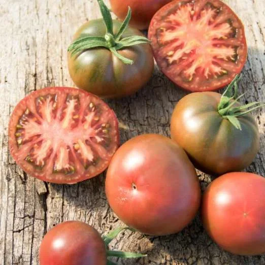 FleischtomateLila Sari