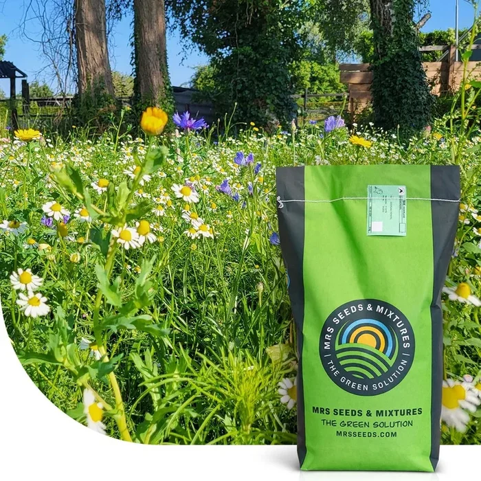 Flower Field – Grassamen mit Wildblumensamen