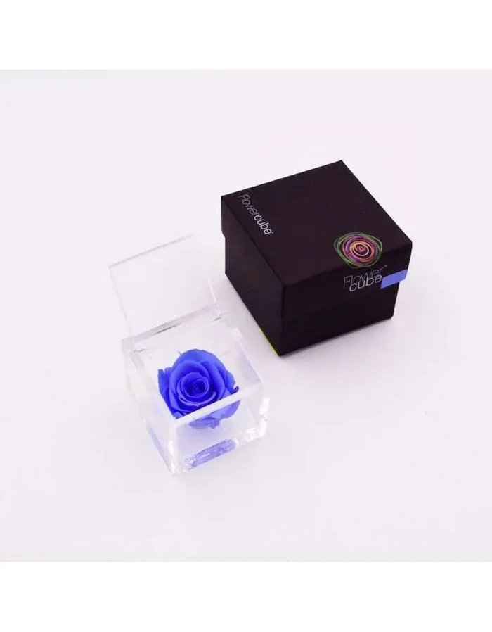 Flowercube 10 x 10 Stabilisierte Hellblaue Rose