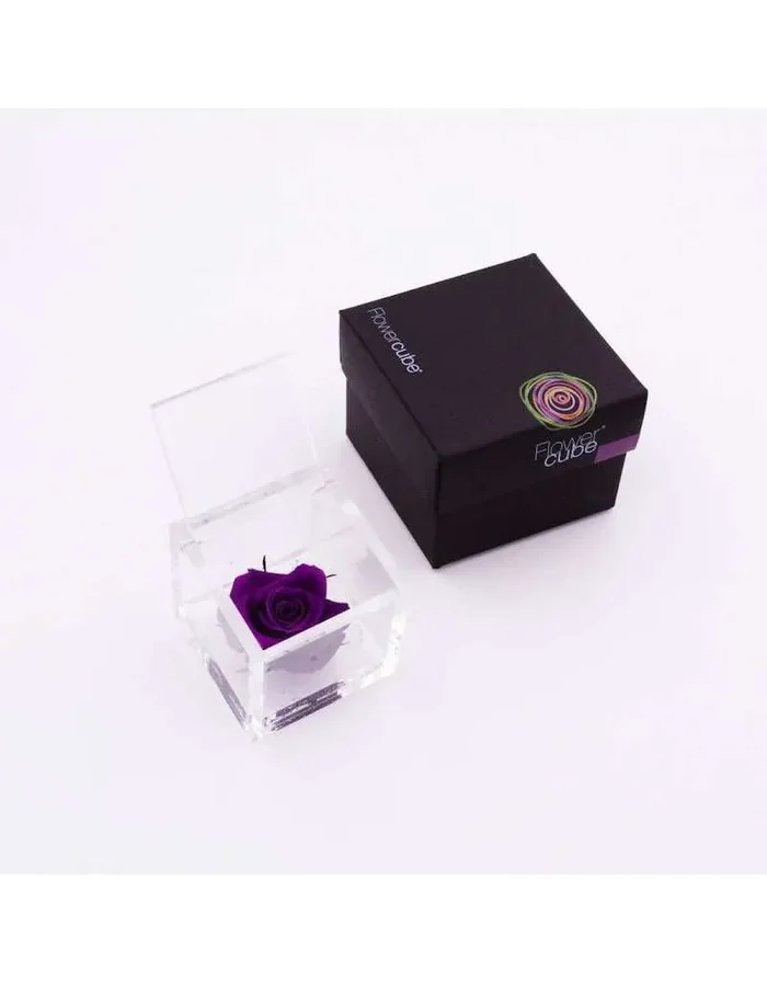 Flowercube 12 x 12 Stabilisierte Lila Rose