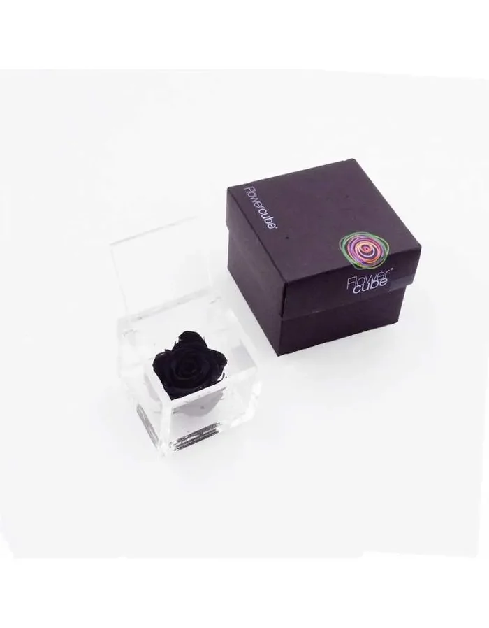 Flowercube 6 x 6 Schwarz stabilisierte Rose