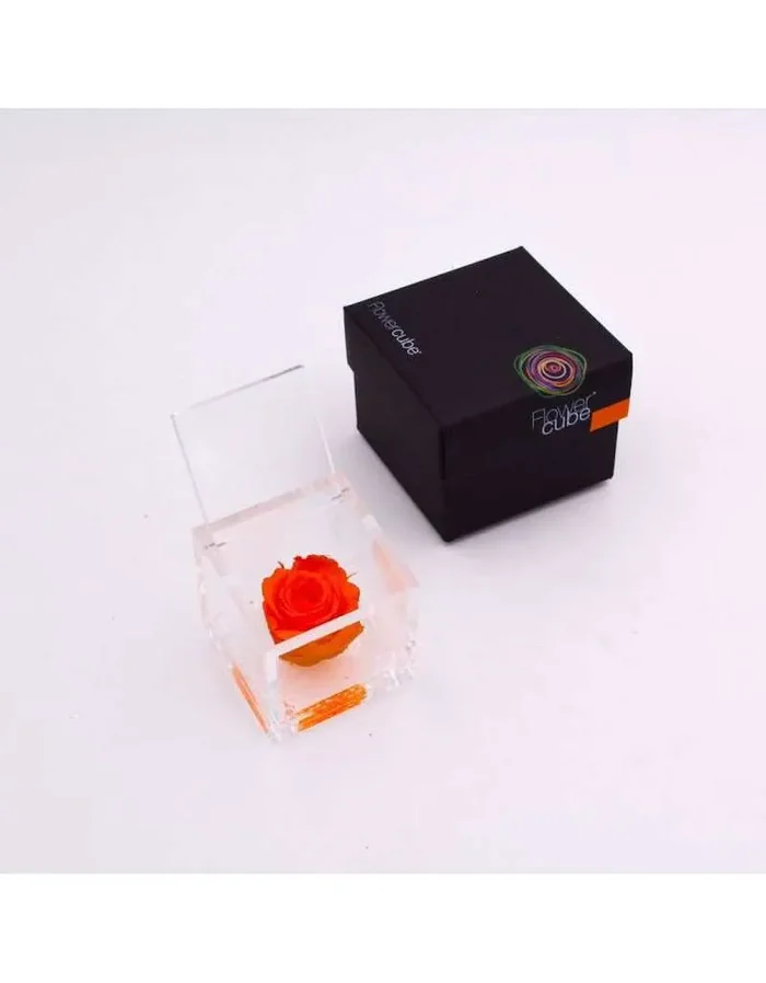 Flowercube 6 x 6 Stabilisierte Rose Orange