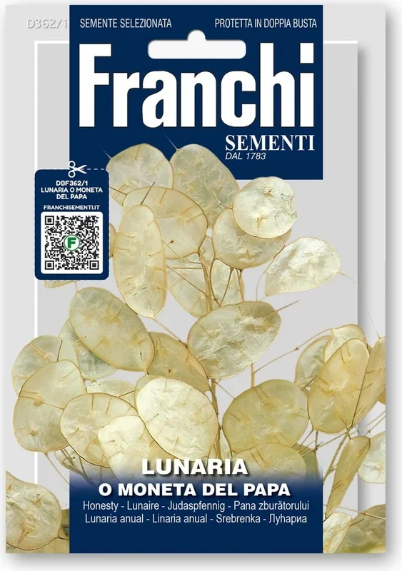 Franchi Sementi Silberblatt „O Moneta del Papa“
