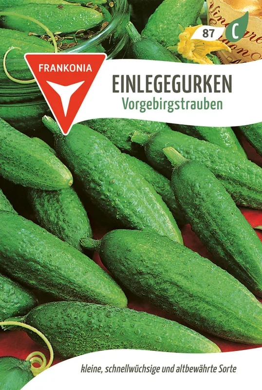 Frankonia Samen Einlegegurken Vorgebirgstrauben