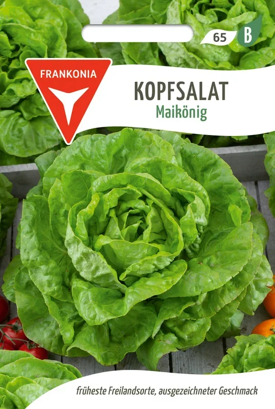 Frankonia Samen Kopfsalat Maikönig