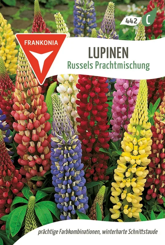 Frankonia Samen Lupinen Russels Prachtmischung