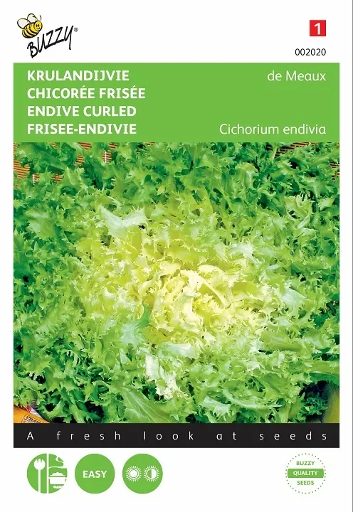 Frisee-Endivie De Meaux