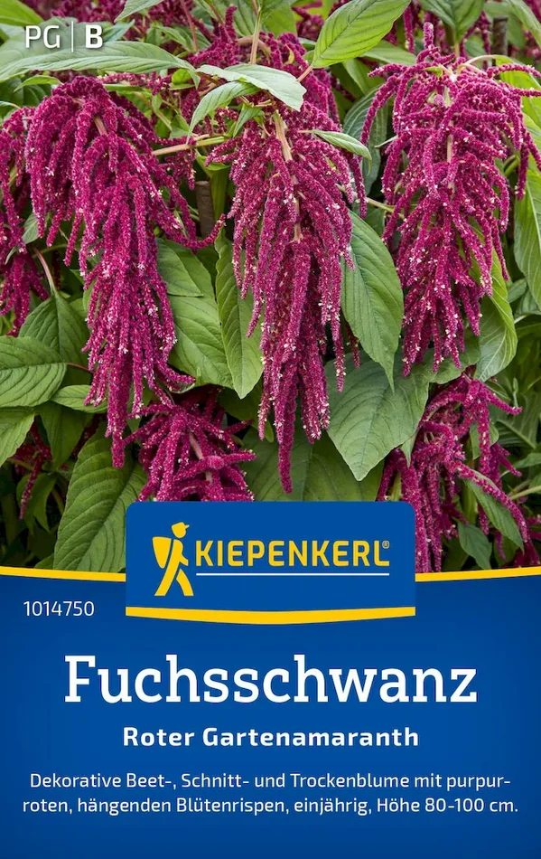 Fuchsschwanzsamen Roter Gartenamaranth