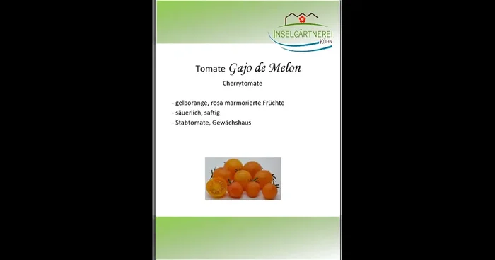 Gajo de Melon