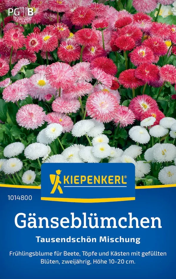 Gänseblümchensamen Tausendschön Mischung