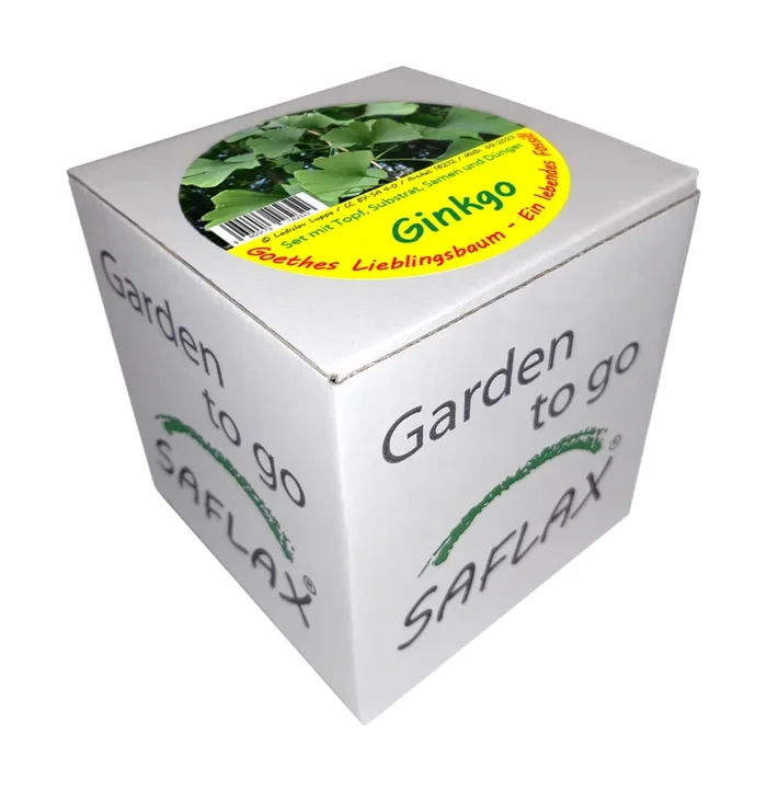 Garden to Go Ginkgo