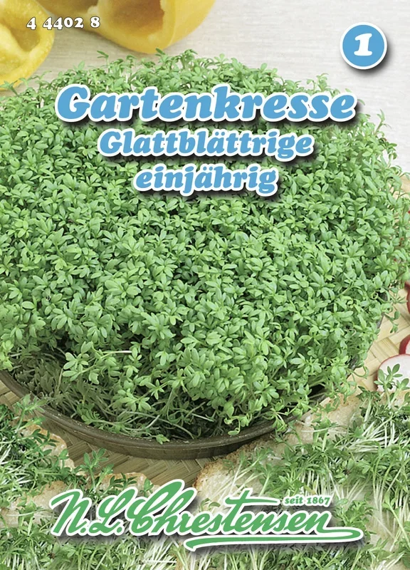 Gartenkresse Glattblättrige [MHD 01/2026]