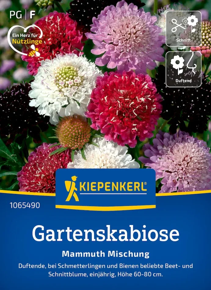 Gartenskabiosensamen Mammuth Mischung