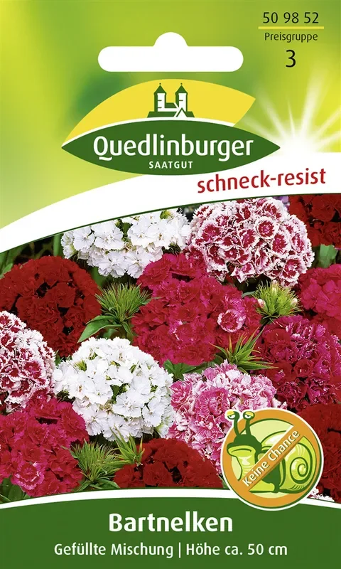 Gefüllte Bartnelke-Samen