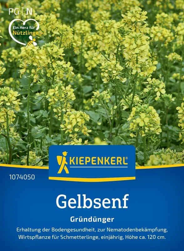 Gelbsenf Weißsamiger Senf (80 g)