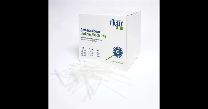 GERBERA Abschnitte