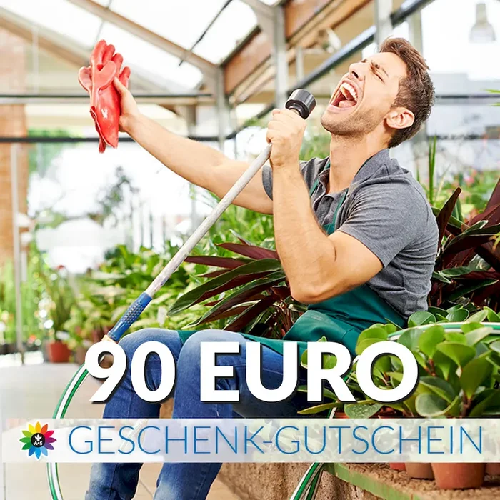 Geschenk-Gutschein, Wert 90 Euro Sänger Bestellnummer 9999549