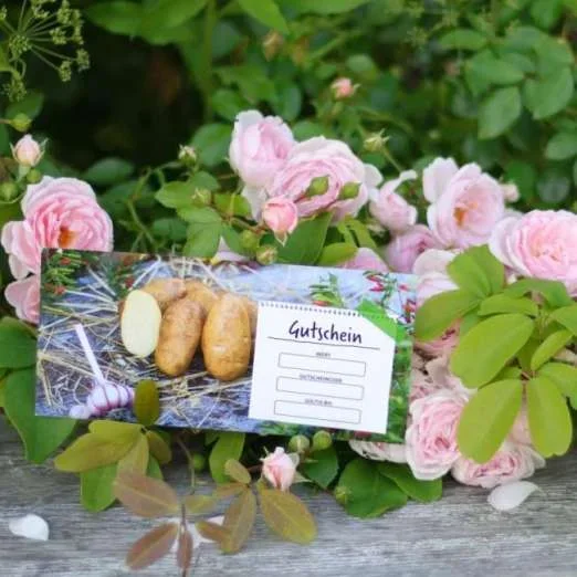 Geschenkgutschein