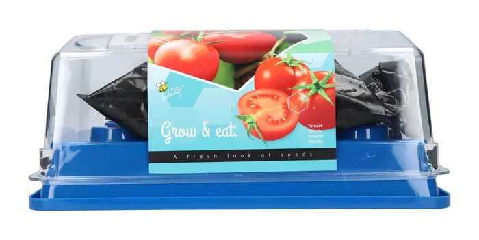 Gewächshaus Tomaten