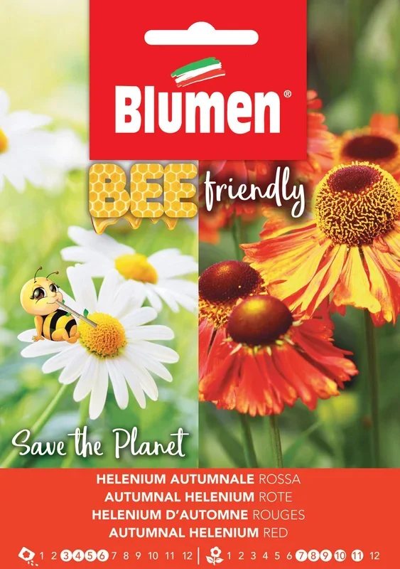 Gewöhnliche Sonnenbraut