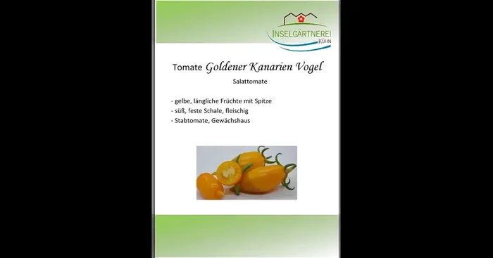Goldener Kanarien Vogel
