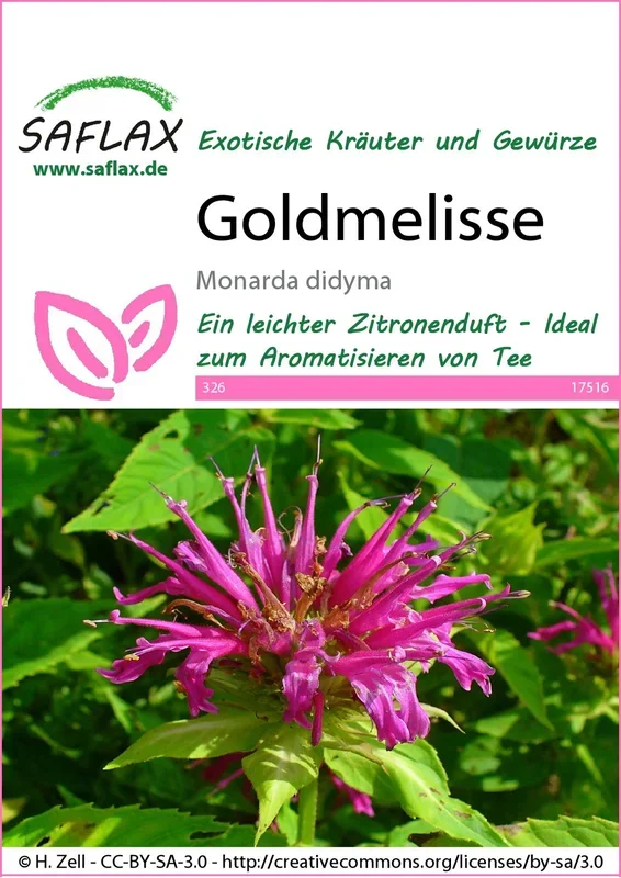 Goldmelisse