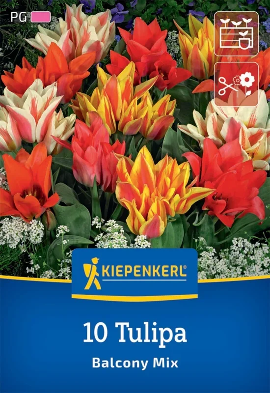 Greigii-Tulpen Balkonzauber Mix (10 Stück)