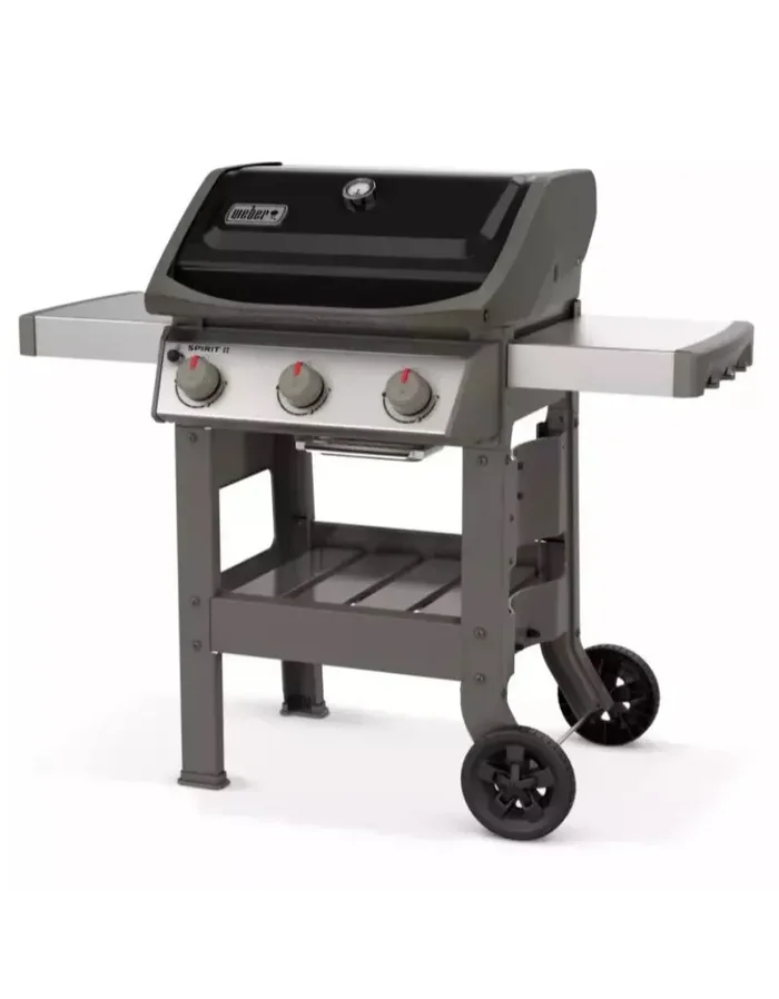 GRILLEN SIE EINEN GAS-WEBER-GEIST