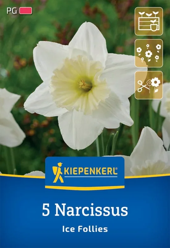 Großkronige Narzisse Ice Follies (5 Stück)