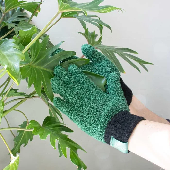 Grüne Daumen Handschuhe – Mikrofaser-Staubhandschuhe für deine Pflanzen
